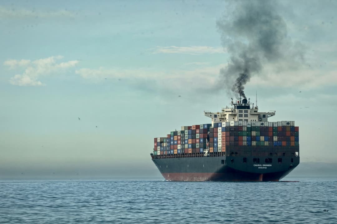 Export complexity, industrial complexity and regional economic growth in Brazil thumbnail
