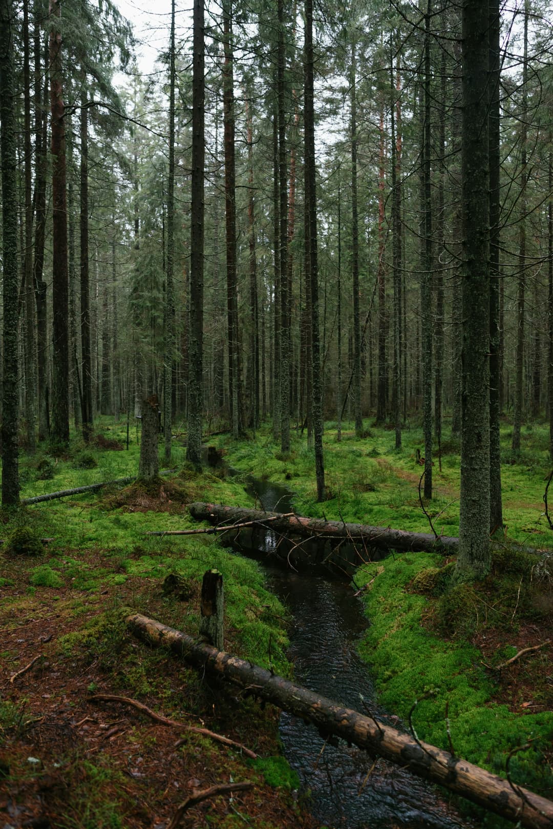 Ecosystems of the World thumbnail
